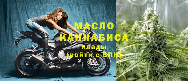 молекула духа Волоколамск