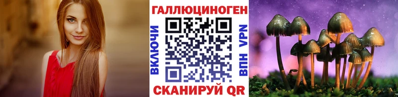 Псилоцибиновые грибы GOLDEN TEACHER  маркетплейс Telegram  Медногорск 